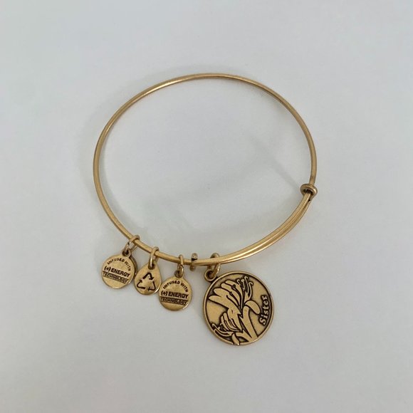NWOT Alex and Ani Gold Sister Charm Bangle - Picture 1 of 2